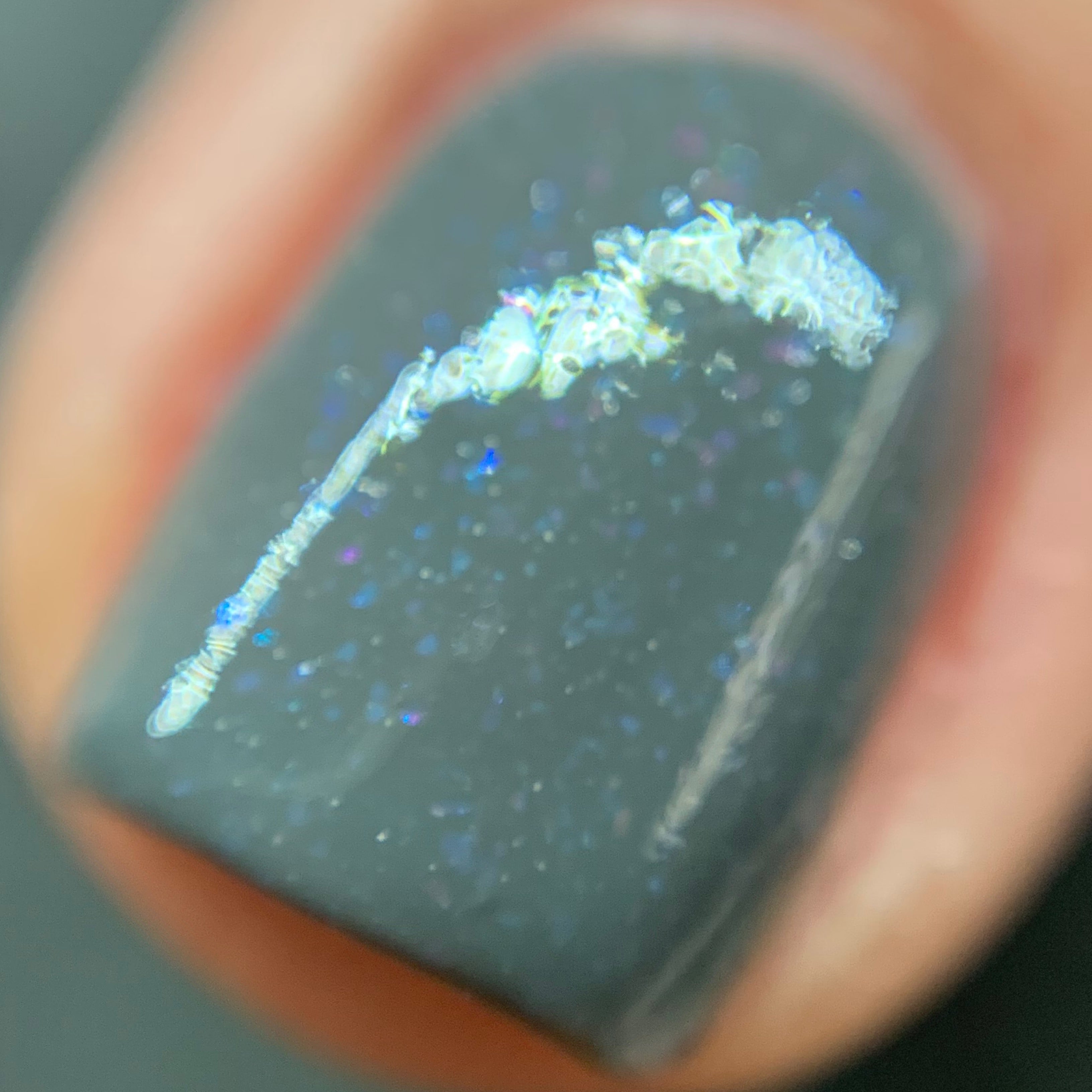 Silver Lining Cocktail Vegan Nail Polish