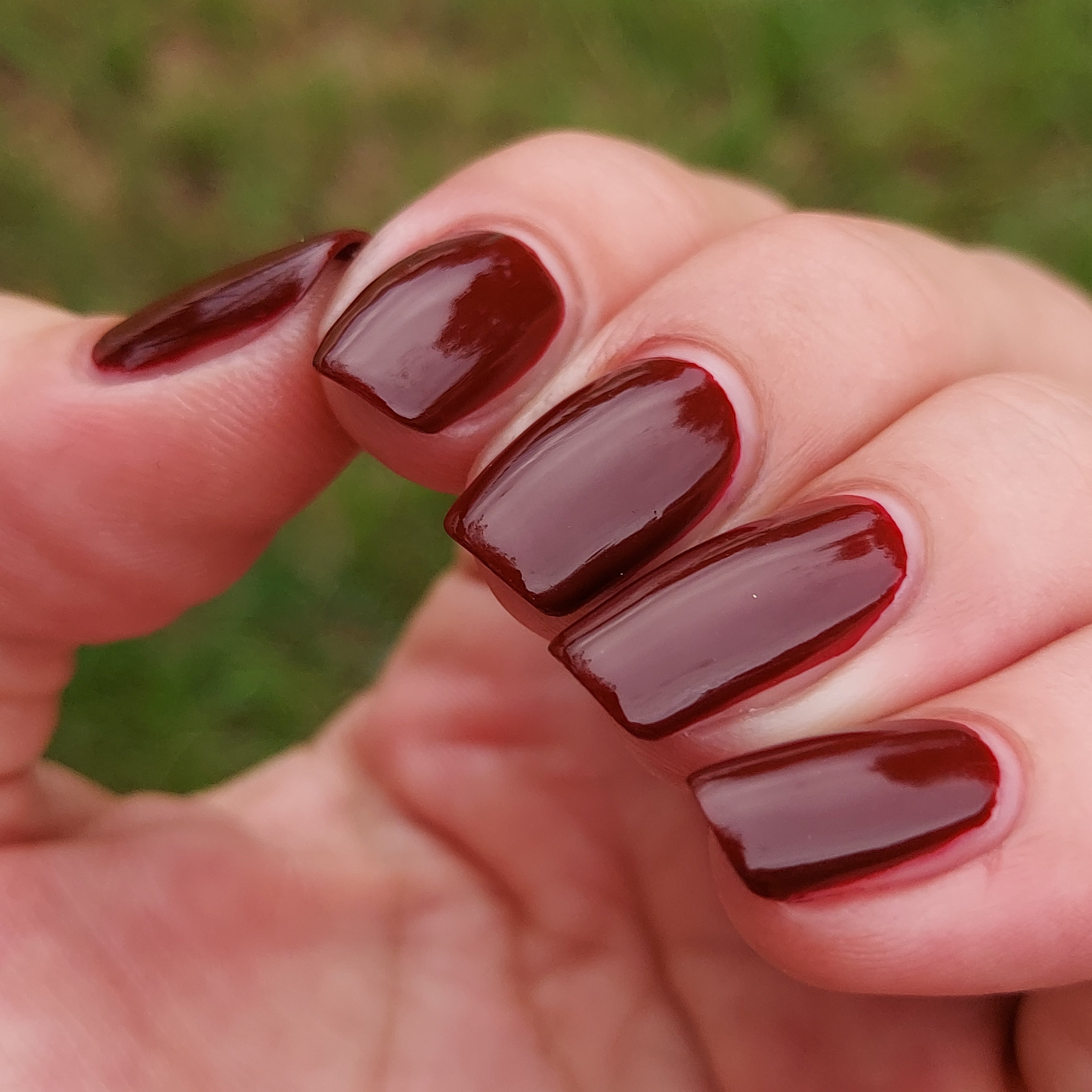 Picture of fingernails painted with a deep maroon vegan non- toxic nail polish